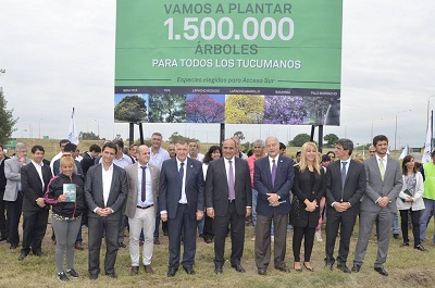 ente de infraestructura arbol