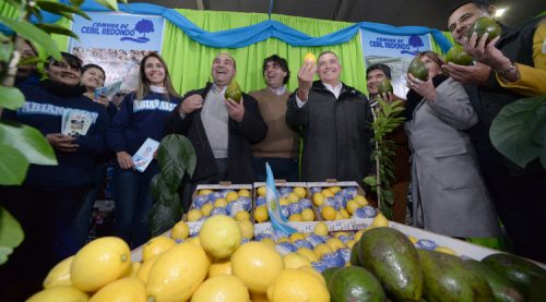 Expo Interior | La economía social dice presente en la muestra
