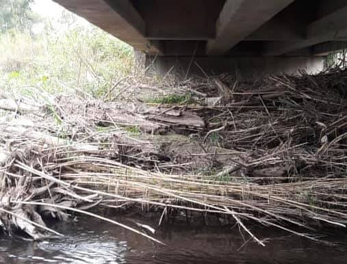 DPV | Tareas de limpieza en canales de la provincia